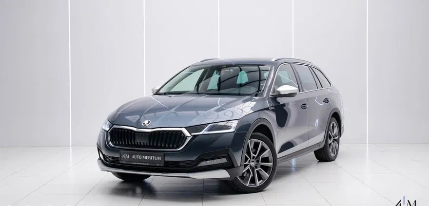 Skoda Octavia cena 154900 przebieg: 47960, rok produkcji 2021 z Łódź małe 781